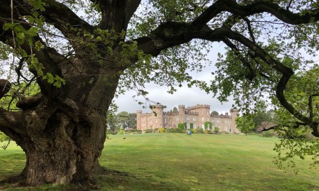 Visit to Cholmondeley Castle Gardens 2019