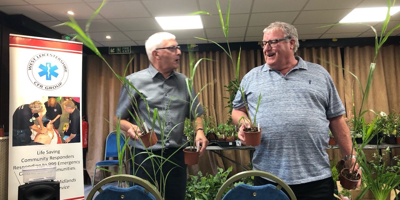 Annual Plant Auction 2nd July 2019