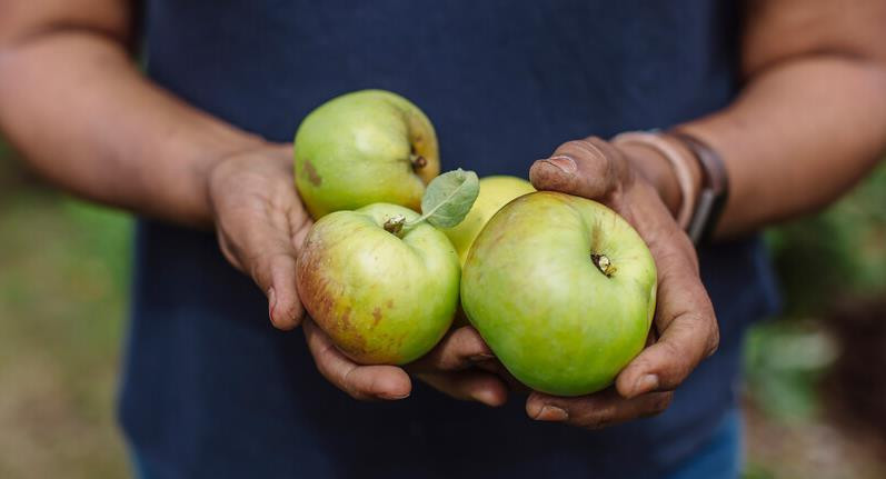 RHS Blooming Brilliant News: Issue 17