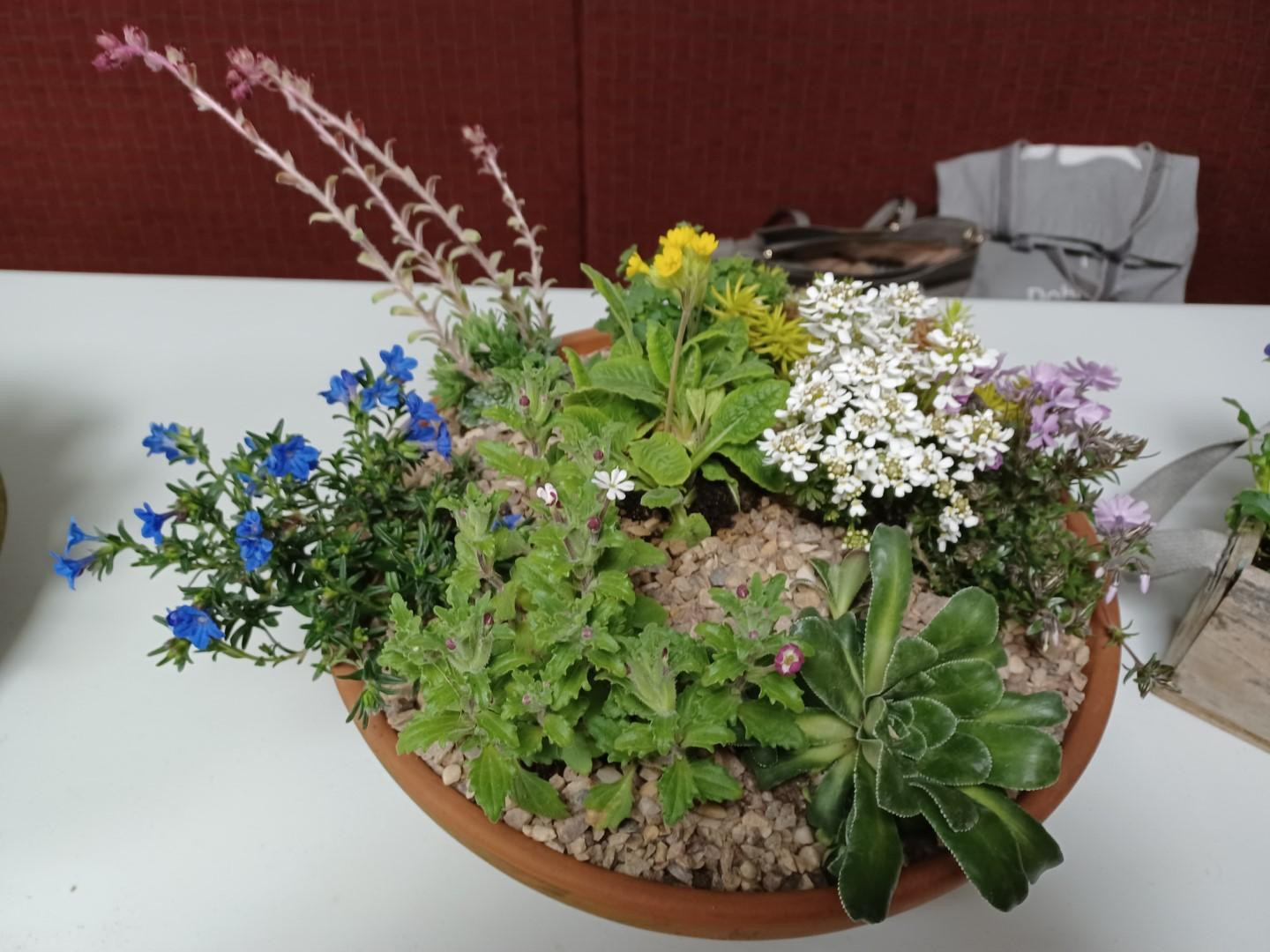 Spring Bowl Competition