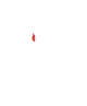 Burbage Gardening Club Logo
